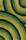 Lalee Tappeto arredo a pelo alto moderno alta qualità Olymp 120x170 cm Verde