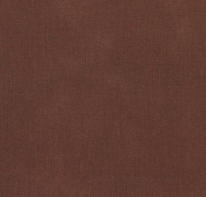 Bassetti Lenzuolo Sopra singolo in cotone - Pantone Carafe_