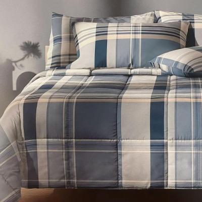 Bassetti Piumone Invernale Letto Una Piazza e Mezza in microfibra Scotland G1