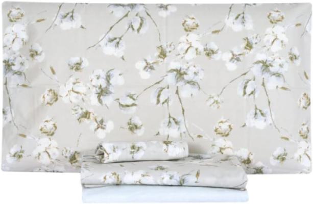 Zucchi Completo Lenzuola Matrimoniale in Cotone - Iole 4M_