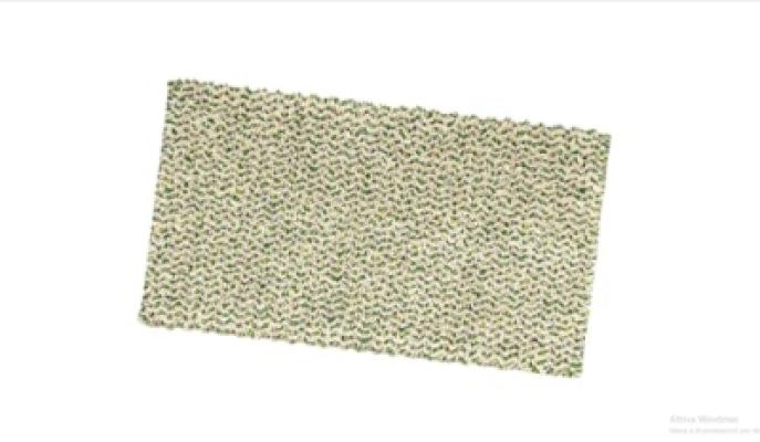 Perlarara Tappeto Bagno Speed 55X100 Cm In Cotone Verde_