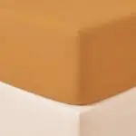 Ocra