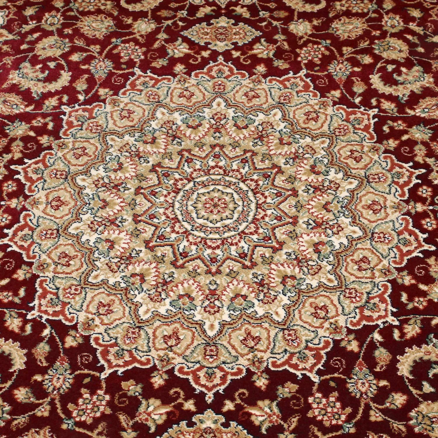Vista 3