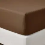 Biscotto
