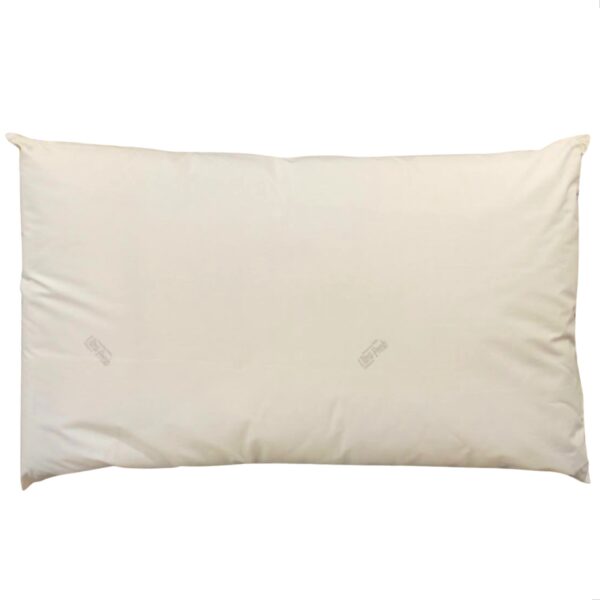 Fabe Guanciale Cuscino Letto Classico Comfort Tencel con federa Antiacaro UltraFresh