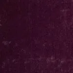 Paris Violet