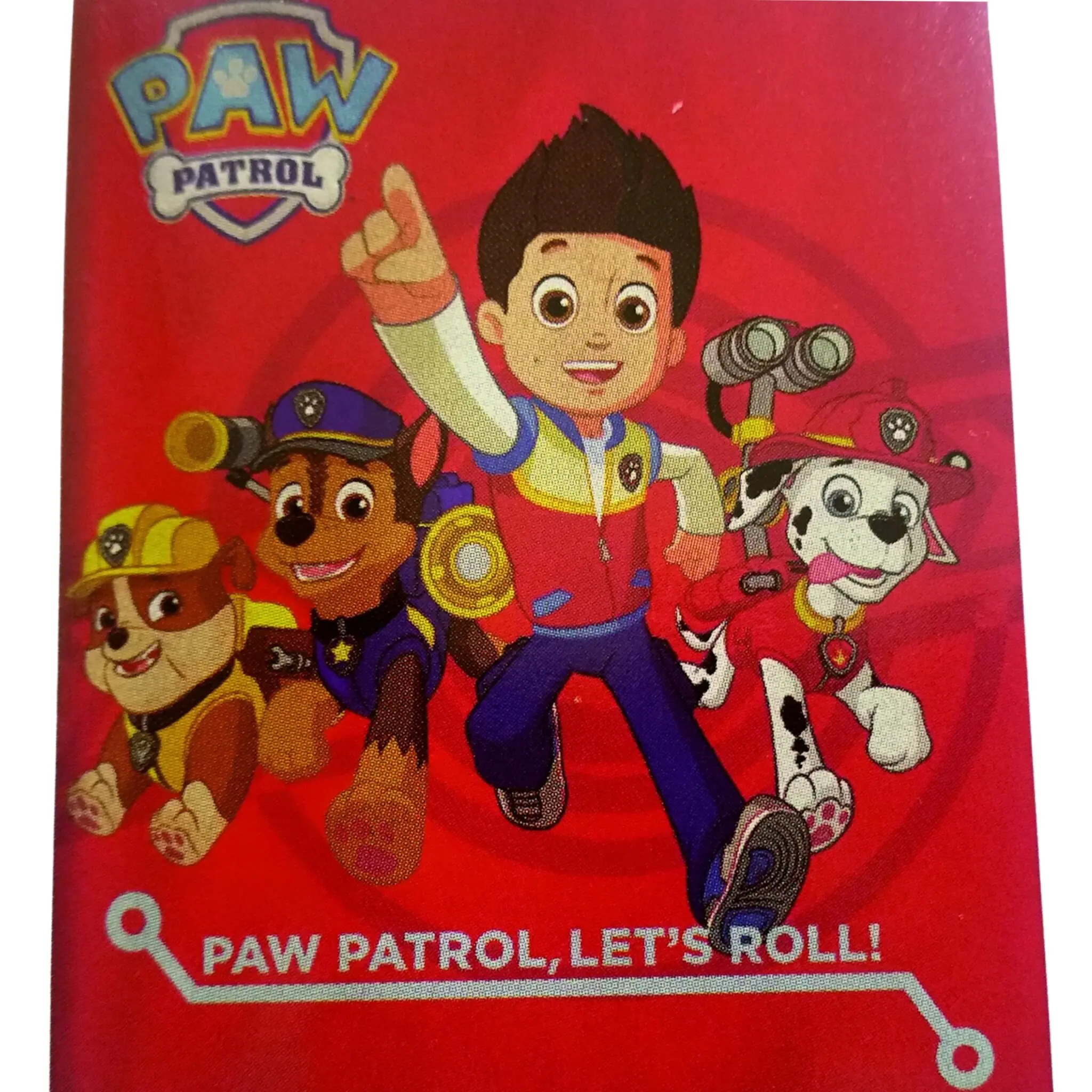Paw Patrol Plaid in Pile Paw Patrol 120x150 cm