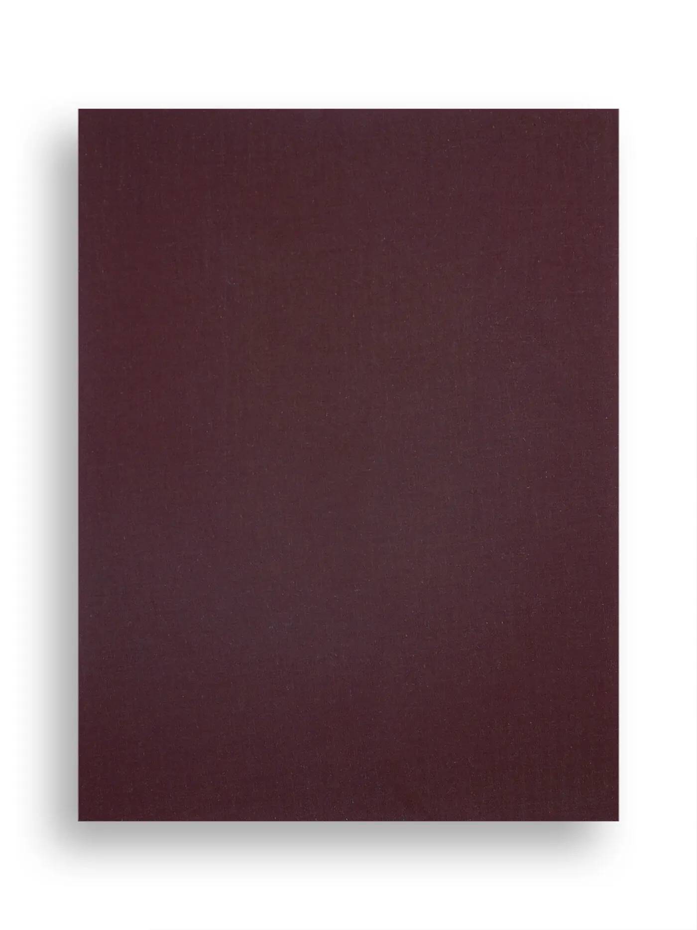 Vista 5
