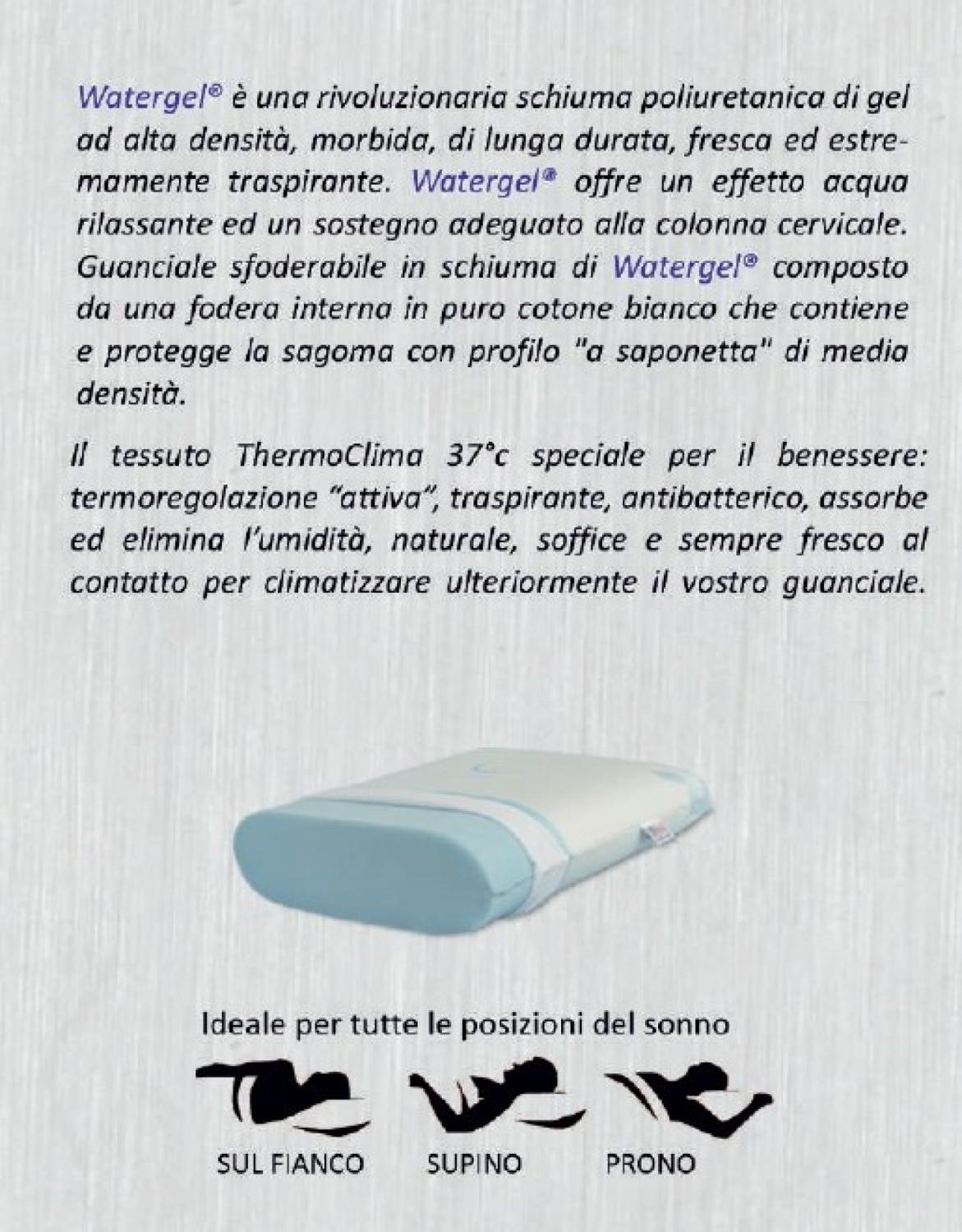 Vista 4
