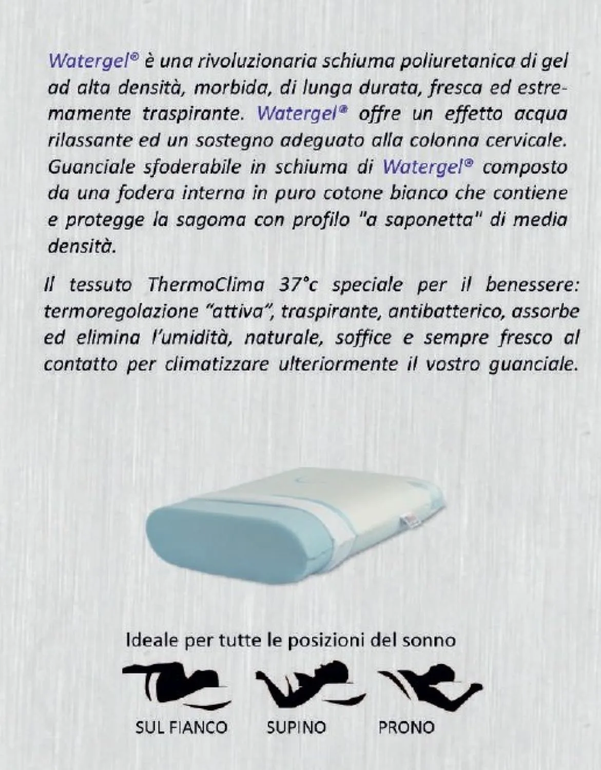 Vista 4