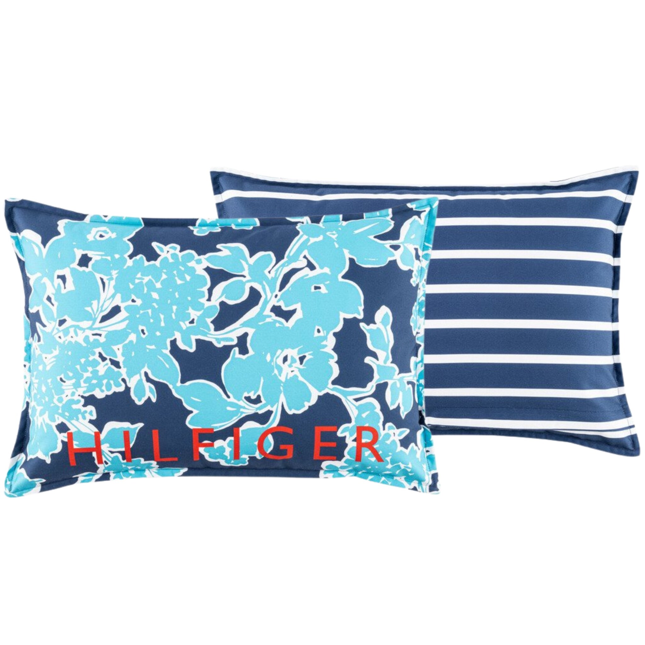 Vista 1