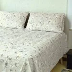Iole G6